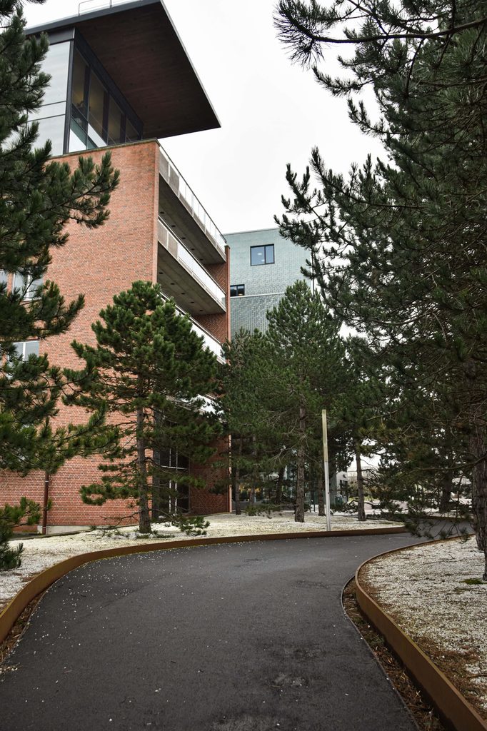 Prodaja nekretnine putem specijalnog punomoćja